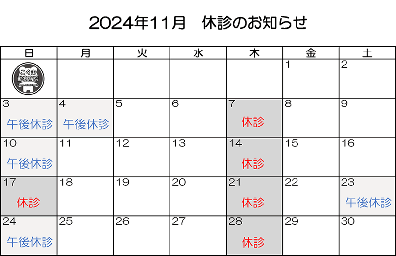 2024年11月休診のお知らせ